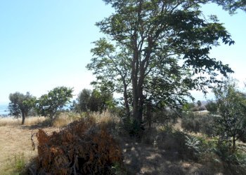 Foto 41 - Rustico Via Panoramica, Tortoreto - foto 41