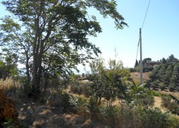 Foto 42 - Rustico Via Panoramica, Tortoreto - foto 42