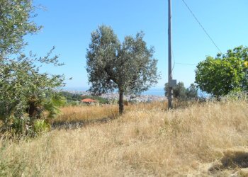 Foto 44 - Rustico Via Panoramica, Tortoreto - foto 44