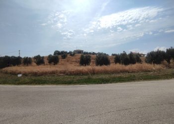 Foto 46 - Rustico Via Panoramica, Tortoreto - foto 46