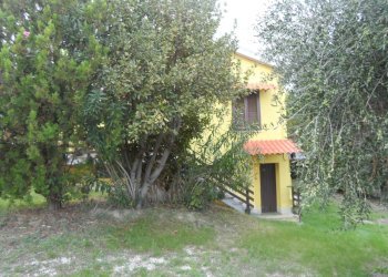 Foto 11 - Independent house Strada Provinciale, Castorano - photo 11