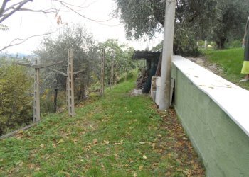 Foto 13 - Independent house Strada Provinciale, Castorano - photo 13