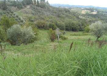 Foto 26 - Independent house Strada Provinciale, Castorano - photo 26