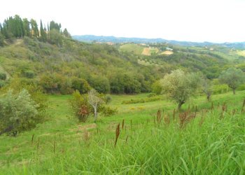 Foto 27 - Independent house Strada Provinciale, Castorano - photo 27