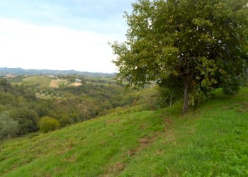 Foto 32 - Independent house Strada Provinciale, Castorano - photo 32