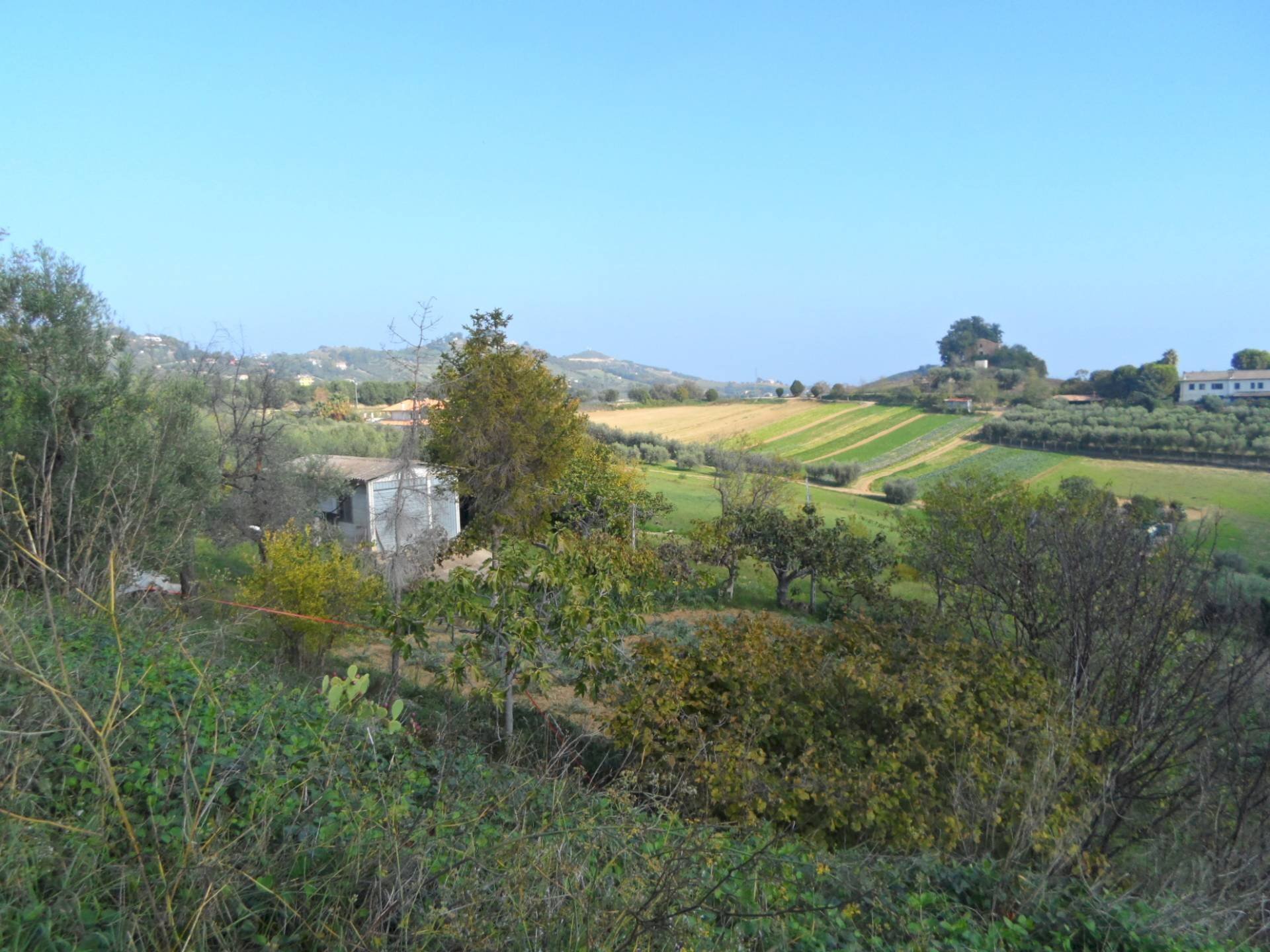 Foto 3 - Terreno agricolo Contrada San Donato, Monteprandone - foto 3