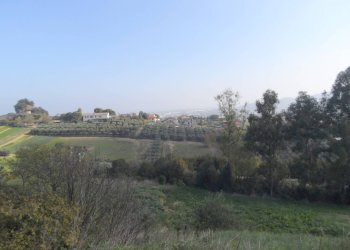 Foto 2 - Terreno agricolo Contrada San Donato, Monteprandone - foto 2