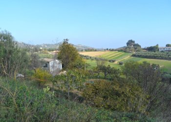 Foto 3 - Terreno agricolo Contrada San Donato, Monteprandone - foto 3