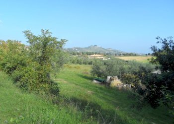 Foto 5 - Terreno agricolo Contrada San Donato, Monteprandone - foto 5