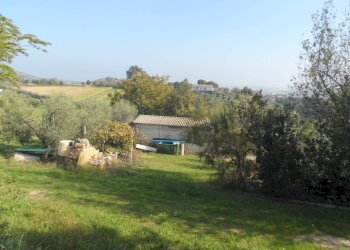 Foto 6 - Terreno agricolo Contrada San Donato, Monteprandone - foto 6