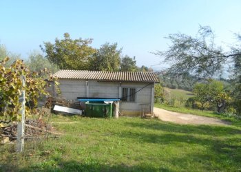 Foto 7 - Terreno agricolo Contrada San Donato, Monteprandone - foto 7