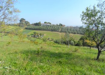 Foto 11 - Terreno agricolo Contrada San Donato, Monteprandone - foto 11