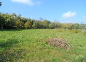 Foto 13 - Terreno agricolo Contrada San Donato, Monteprandone - foto 13