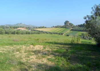 Foto 14 - Terreno agricolo Contrada San Donato, Monteprandone - foto 14