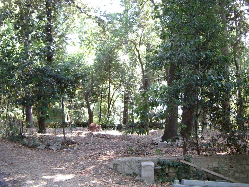 Foto 2 - Villa viale IV novembre, Colli del Tronto - foto 2