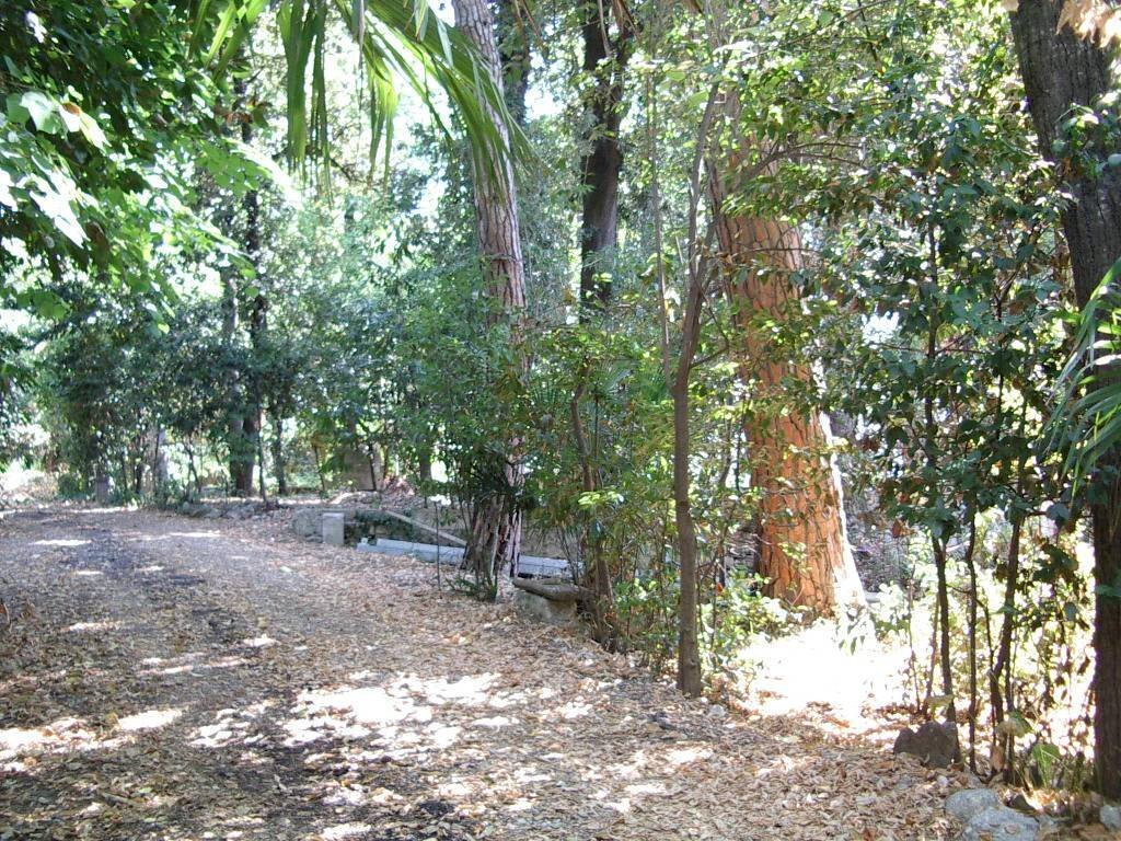 Foto 3 - Villa viale IV novembre, Colli del Tronto - foto 3