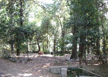 Foto 2 - Villa viale IV novembre, Colli del Tronto - foto 2