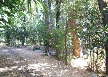 Foto 3 - Villa viale IV novembre, Colli del Tronto - foto 3