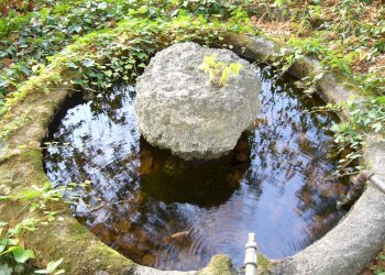 Foto 14 - Villa viale IV novembre, Colli del Tronto - foto 14