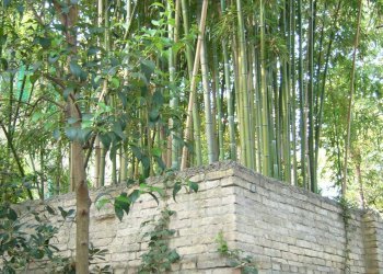 Foto 17 - Villa viale IV novembre, Colli del Tronto - foto 17