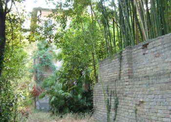 Foto 18 - Villa viale IV novembre, Colli del Tronto - foto 18