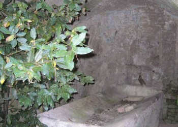 Foto 20 - Villa viale IV novembre, Colli del Tronto - foto 20