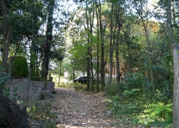 Foto 22 - Villa viale IV novembre, Colli del Tronto - foto 22