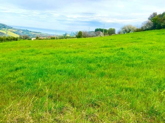 Foto 1 - Terreno edificabile Via Colle Sant'Angelo, Monteprandone - foto 1