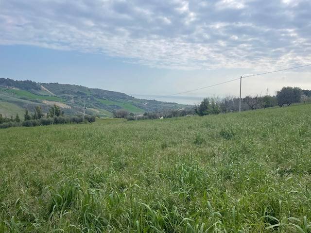 Foto 2 - Terreno edificabile Via Colle Sant'Angelo, Monteprandone - foto 2