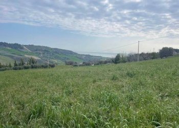 Foto 2 - Terreno edificabile Via Colle Sant'Angelo, Monteprandone - foto 2