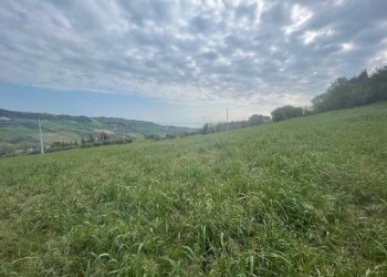 Foto 6 - Terreno edificabile Via Colle Sant'Angelo, Monteprandone - foto 6