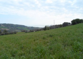 Foto 17 - Terreno edificabile Via Colle Sant'Angelo, Monteprandone - foto 17