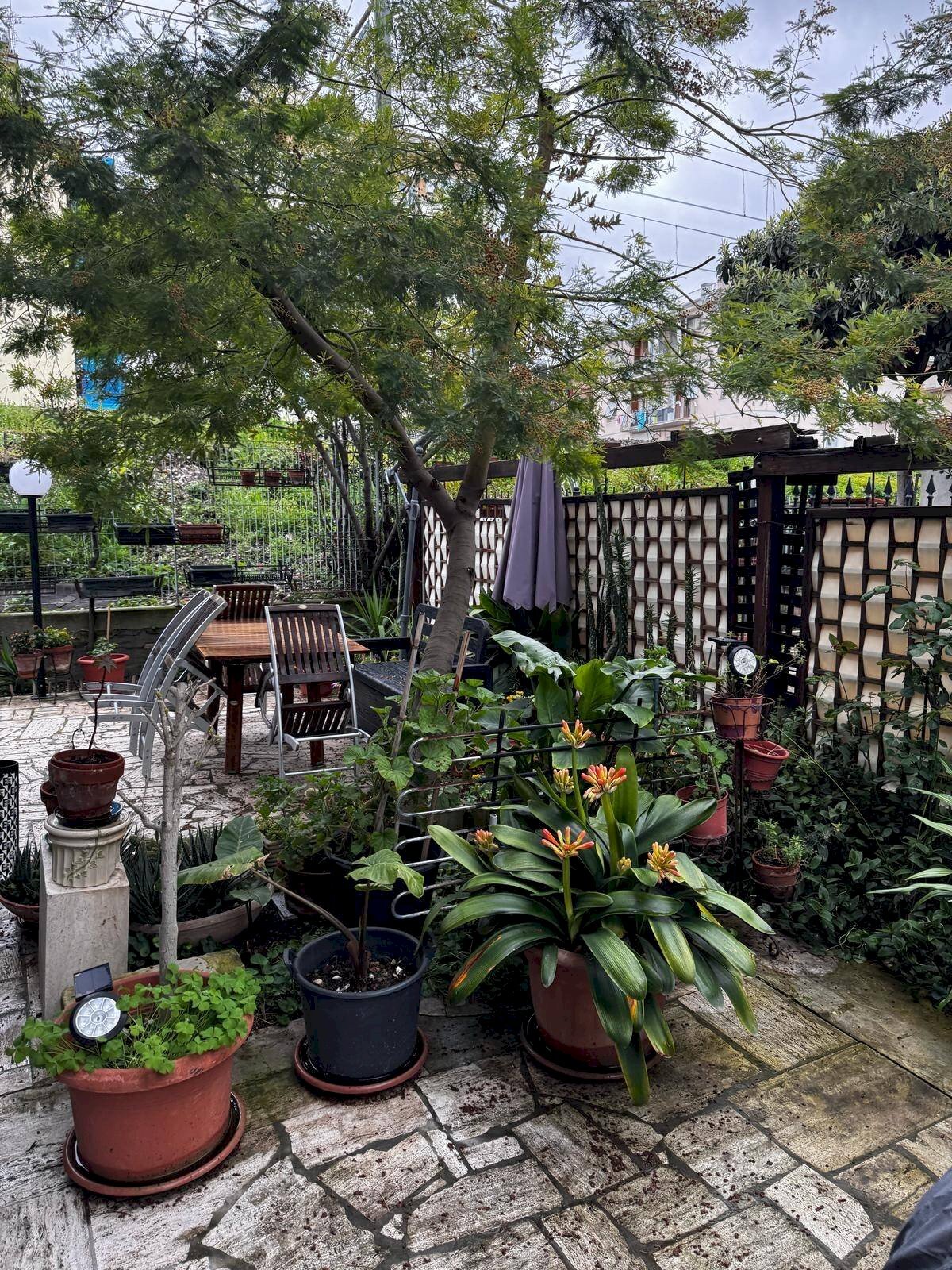 Foto 1 - Casa indipendente San Benedetto del Tronto - foto 1