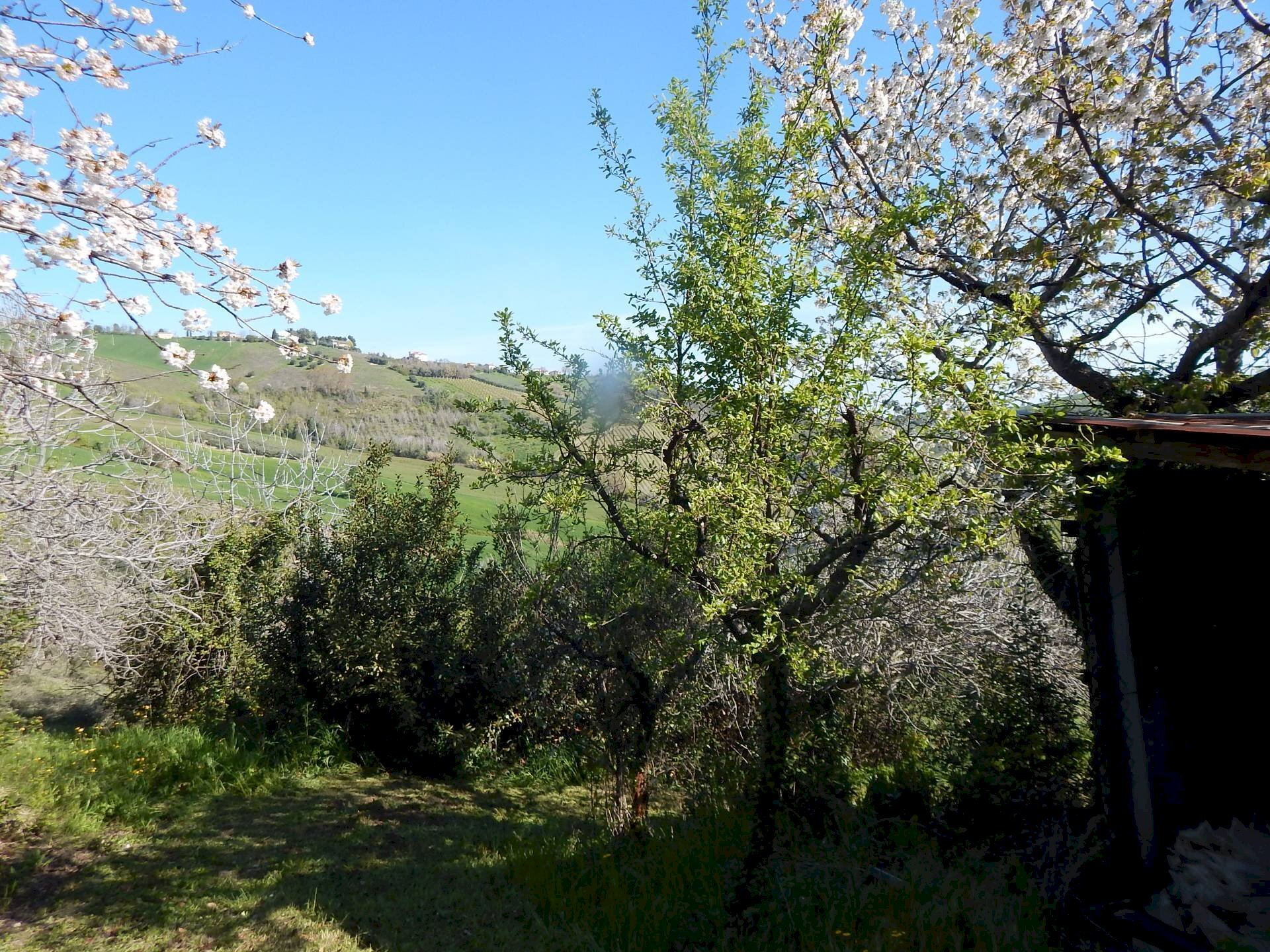 Foto 1 - Rustico Contrada Castiglioni, Castignano - foto 1