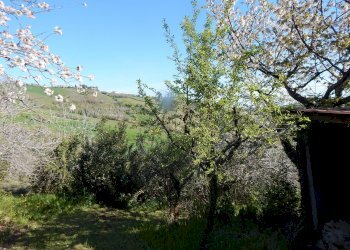 Foto 1 - Rustico Contrada Castiglioni, Castignano - foto 1