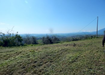 Foto 25 - Rustico Contrada Castiglioni, Castignano - foto 25