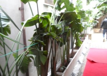 Foto 20 - Commercial Activity Via Mare, San Benedetto del Tronto - photo 20