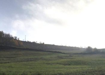esterno - Rustico via Celestini, Sasso Marconi - foto 5
