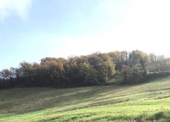 dettagli - Rustico via Celestini, Sasso Marconi - foto 8