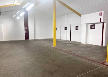 Dettagli - Box via Giuseppe Petroni, Bologna (zona San Vitale) - foto 2