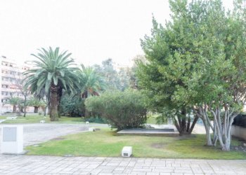 Giardino - Loft via Prunizzedda, Sassari - foto 29