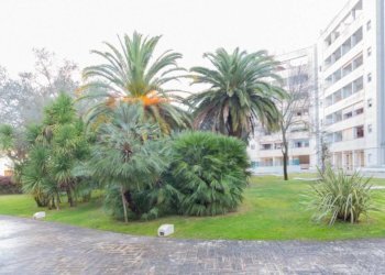 Giardino - Loft via Prunizzedda, Sassari - foto 33