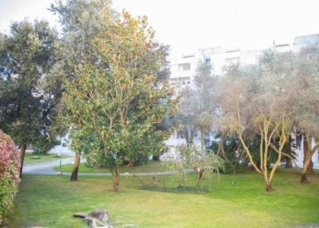 Giardino - Loft via Prunizzedda, Sassari - foto 34