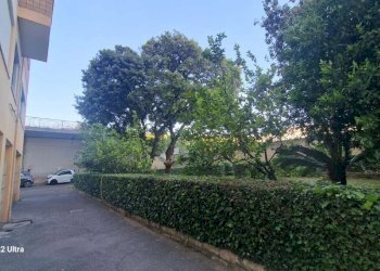 immagine whatsapp 2025-05-12 ore 18.54.51_4439432b - Appartamento via via Sillano, Roma - foto 2