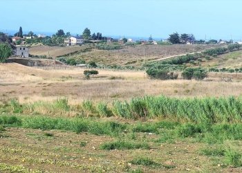 Terreno - Agricultural land viale Pigni di Don Fabrizio, Alcamo - photo 13