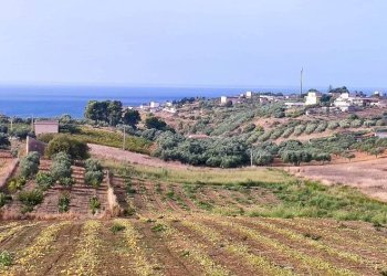 Terreno - Agricultural land viale Pigni di Don Fabrizio, Alcamo - photo 14