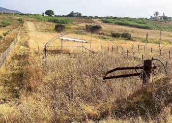 Terreno - Agricultural land viale Pigni di Don Fabrizio, Alcamo - photo 19
