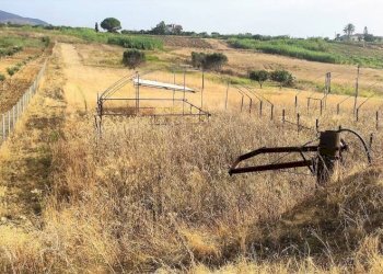 Terreno - Agricultural land viale Pigni di Don Fabrizio, Alcamo - photo 26