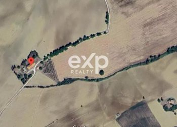 Villa Via Monte, Monte Porzio - foto 26