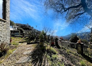 Giardino - Villa via dei caduti, Leivi - foto 5